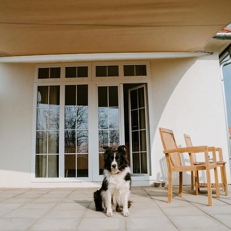 Chalets Franciska Major, Pro Village Sopronkovesd Экстерьер фото
