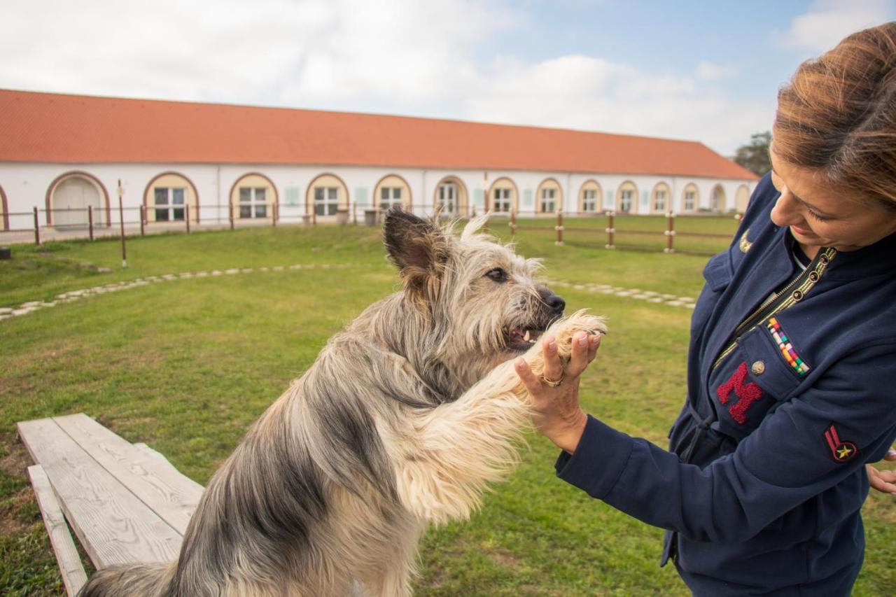 Chalets Franciska Major, Pro Village Sopronkovesd Экстерьер фото