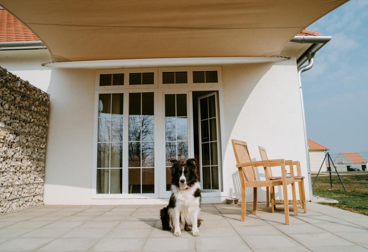 Chalets Franciska Major, Pro Village Sopronkovesd Экстерьер фото